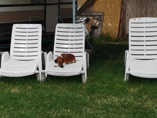 Mad-dog büfé - Vendéglátás