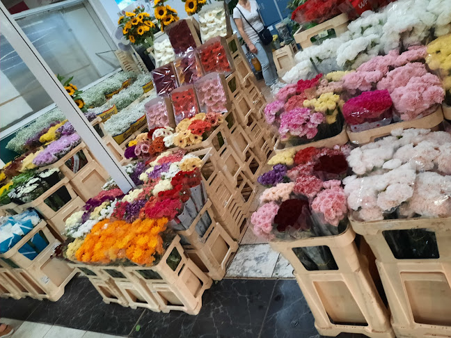 Budapest, Szent László út 21-23, 1135