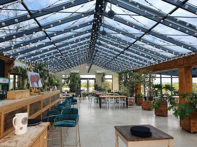 Opinii despre Hernyák Birtok în Etyek - Vendéglátás