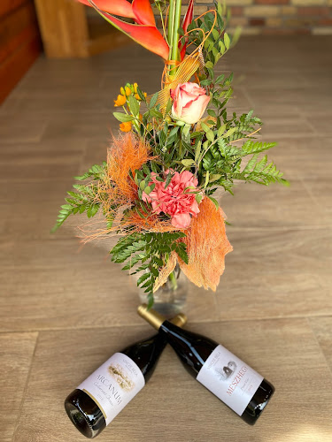 Comentarii opinii despre Mészhegy Borászat