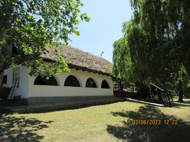 Mezőzombor, 39, 3931