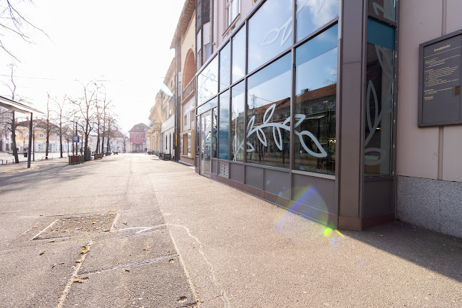 Comentarii opinii despre Kékes Zöld