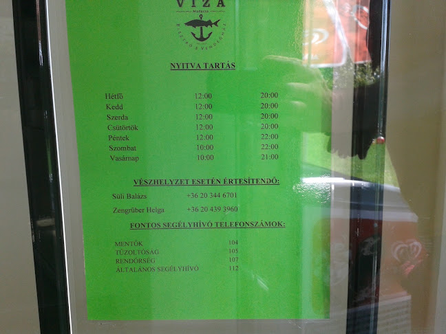 Opinii despre Viza Bisztró és Vendégház în Madocsa - Vendéglátás