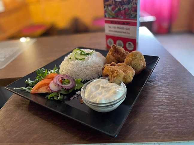 Fertőszentmiklós, Reptér, 9444