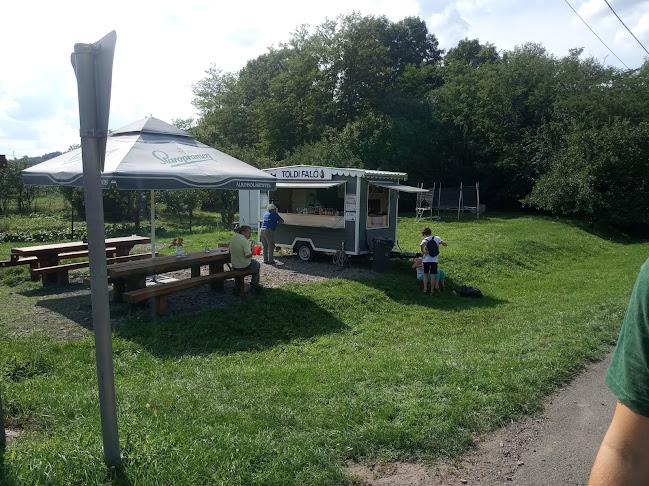 Comentarii opinii despre Toldi FaLó Faloda