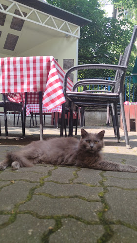 Comentarii opinii despre Blues Kert Vendéglő