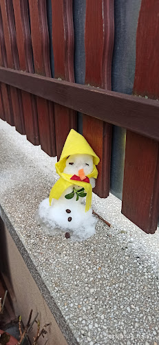 Opinii despre Pancser Pizza és Étterem în Dunakeszi - Vendéglátás