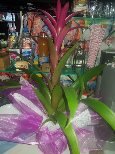 Napoleon Söröző - Budapest