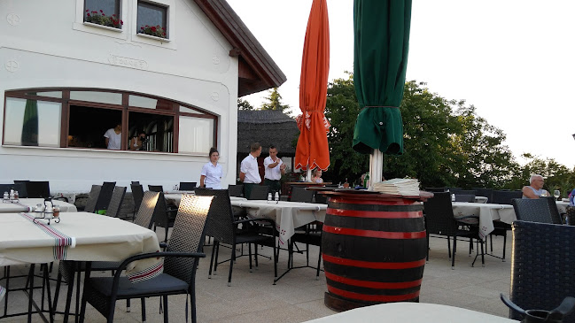 Ferenc Pince Csárda - Vendéglátás