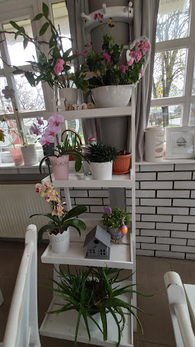 Comentarii opinii despre Nagyi Vintage Kuckója