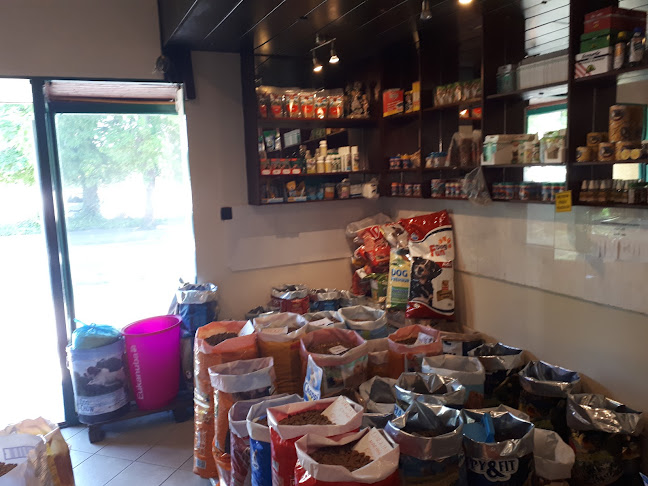 Déli Part BBQ - Vendéglátás