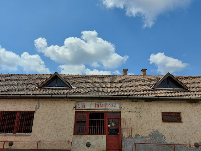 Opinii despre Lili falatozó în Pocsaj - Vendéglátás
