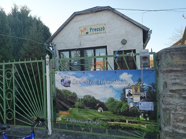 Opinii despre Anita Presszó în Szeleste - Vendéglátás