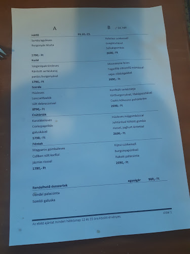 Comentarii opinii despre Károlyi Étterem