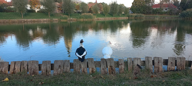 Kondoros Lángosos - Vendéglátás
