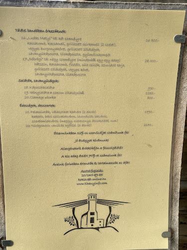 Régi Idők Udvara Skanzen és Étterem - Vendéglátás