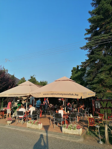 Siófok, Vágó Pál u. 1, 8600