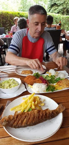 Opinii despre Harcsa Csárda în Százhalombatta - Vendéglátás