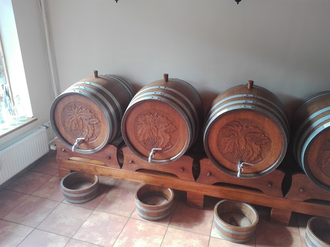 Opinii despre Tokaji Borház în Debrecen - Vendéglátás