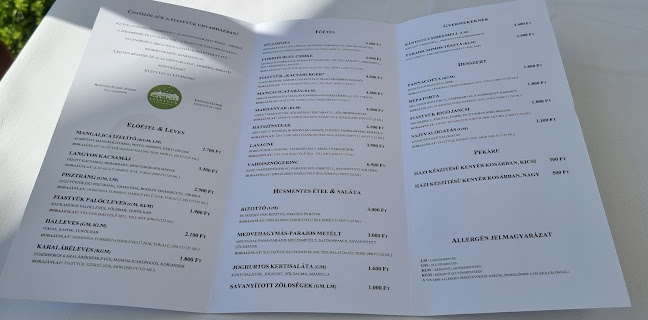 Comentarii opinii despre Fiastyúk Udvarház - étterem, szállás, biofarm