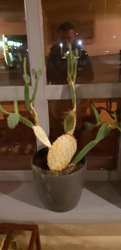 Opinii despre Kisdebrecen Söröző în Debrecen - Vendéglátás