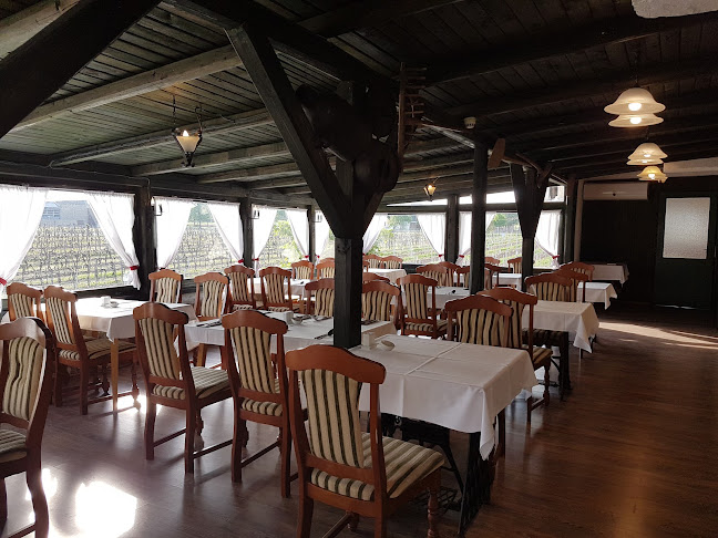 Baricska Csárda - Vendéglátás