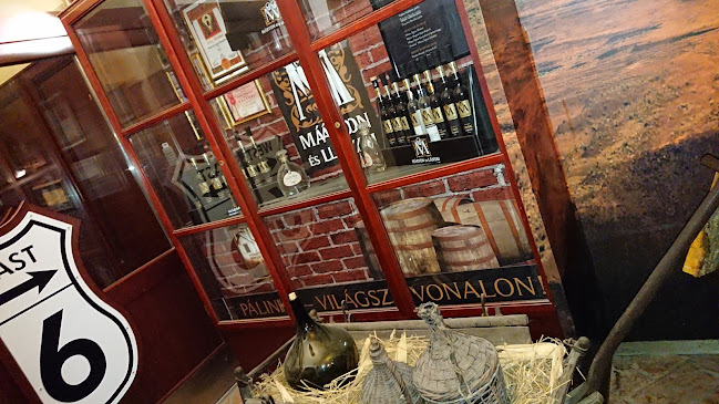 Comentarii opinii despre Puskás Söröző és Étterem