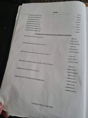 Comentarii opinii despre Bor & Bazsalikom Pizzéria, Étterem