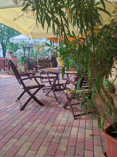 Világosi Étterem Pizzéria - Vendéglátás