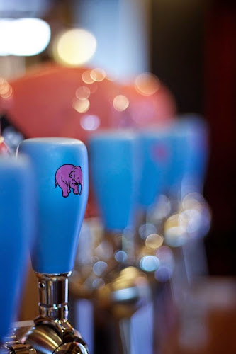 Opinii despre Belga Söröző | Snaps în Budapest - Vendéglátás