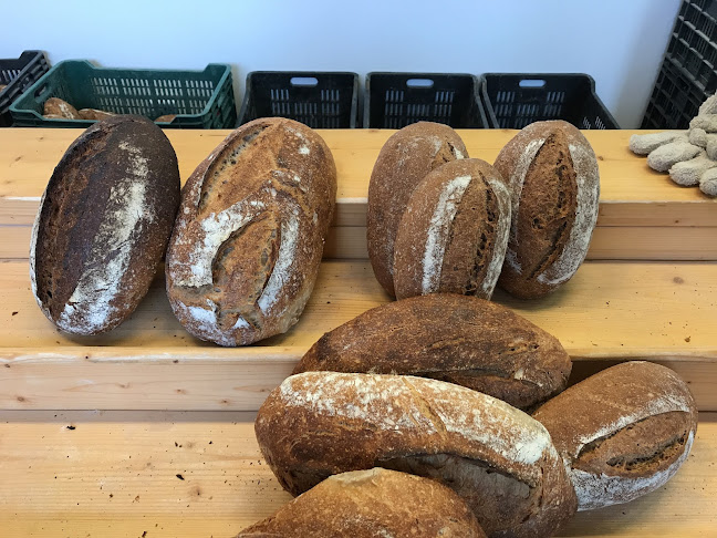 Opinii despre Pipacs Pékség în Budapest - Vendéglátás