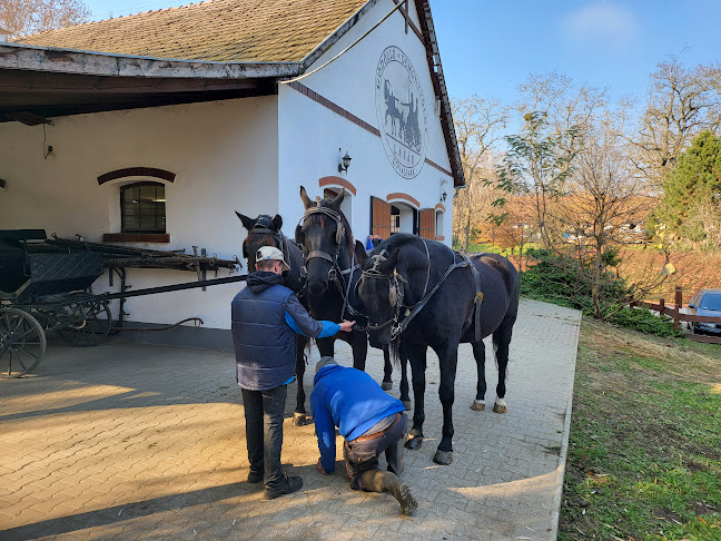 Lázár Lovaspark - Domony