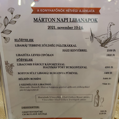 Budapest, Viziorgona utca 11, 1039