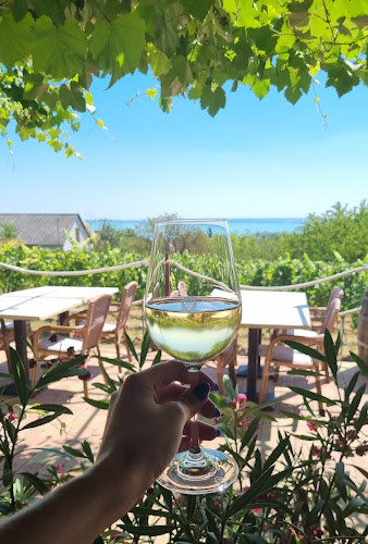 Comentarii opinii despre Söptei Étterem