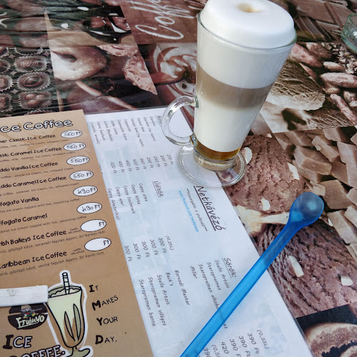 Nagykanizsa, Platán sor 1, 8800