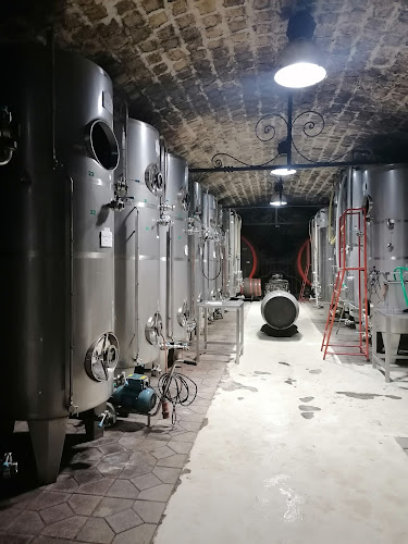 Comentarii opinii despre Soós István Borászati Szakképző Iskola Tangazdasága