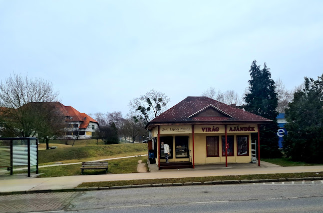 Lipóti Pékség, Oroszlány