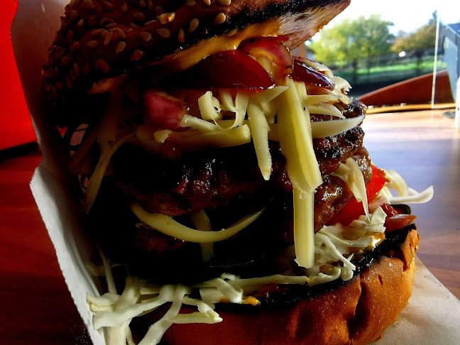 Comentarii opinii despre Nyeső Paul e.v.