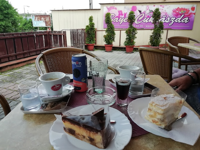 Sweet-Ice Bt. - Bayer Cukrászda - Vendéglátás