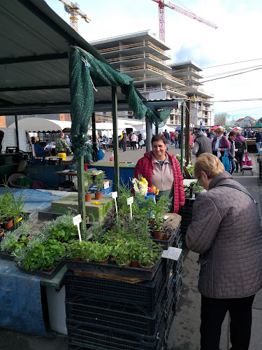 Opinii despre bolgárkertész stand în Budapest - Vendéglátás