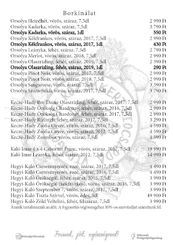 Opinii despre Virágoskúti Rózsakert Biocsárda în Balmazújváros - Vendéglátás