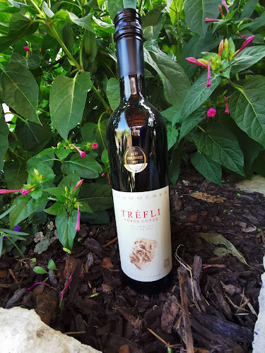 Ricsó Wine kft.-Bor webáruház - Vendéglátás