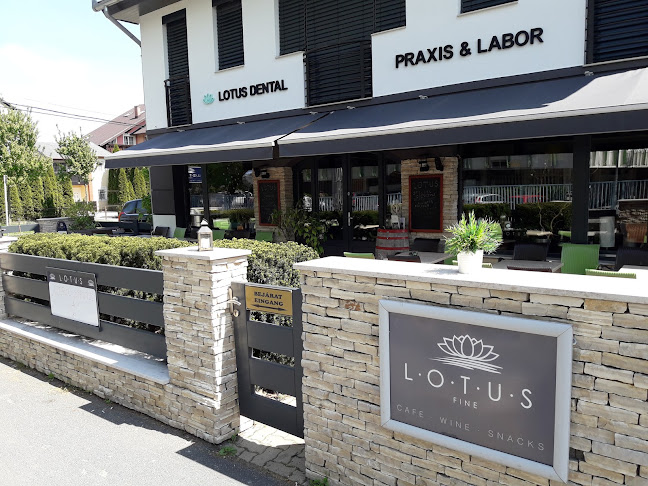 LOTUS cafe & wine lounge