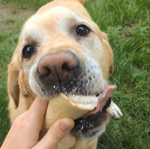 Pomáz, Árpád fejedelem útja 12, 2013