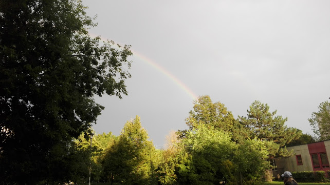 Opinii despre Vadász Kis Korcsma în Budapest - Vendéglátás