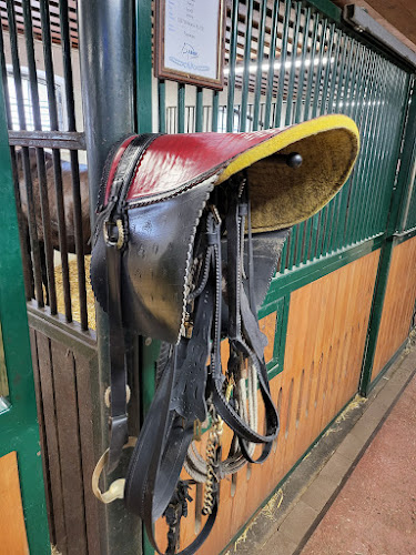 Lázár Lovaspark - Vendéglátás