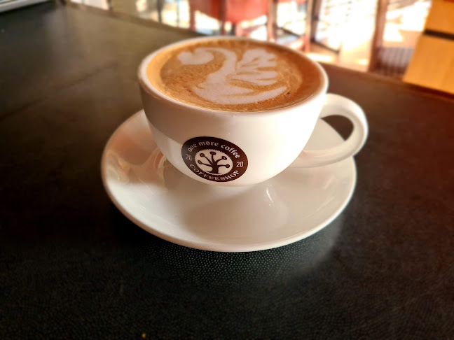 Yellow Flow Kft - Vendéglátás