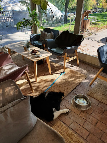 Freyja - the croissant story (Buda)