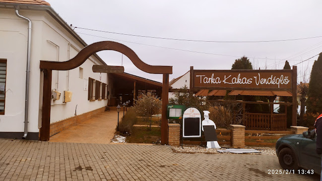 Tarka Kakas - Magyarpolány