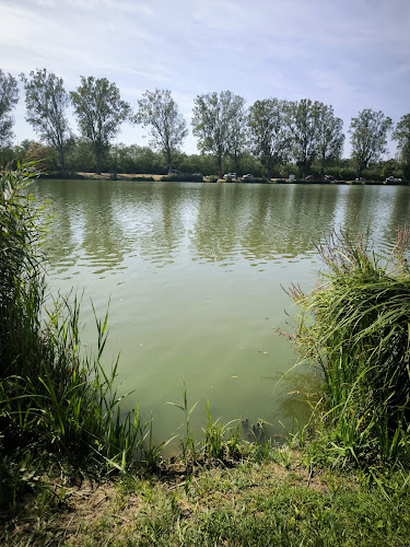 Tópart Grill - Vendéglátás